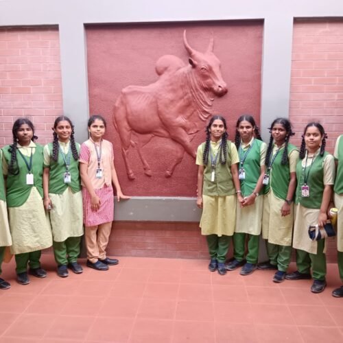 WhatsApp Image 2023-10-03 at 11.09.42 AM (4)