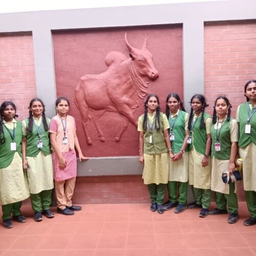 WhatsApp Image 2023-10-03 at 11.09.42 AM (6)